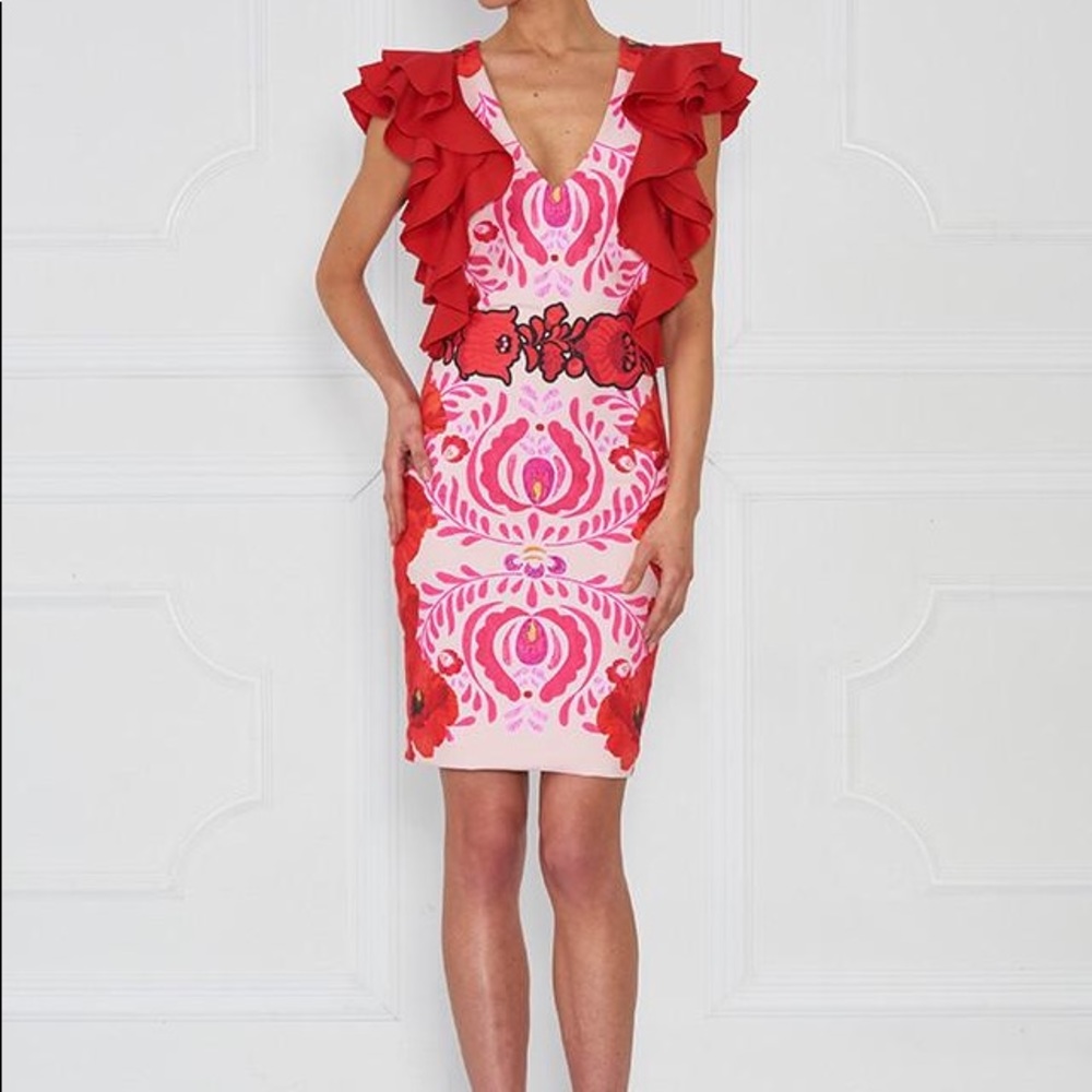 Sugarbird Wake Matyo Puff Sleeve Fitted Dress